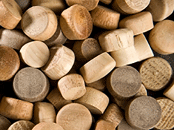 Buy round head wood plugs in Hickory | Bear Woods Canada