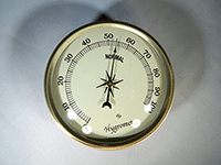 Gold Bezel Ivory Face Hygrometer