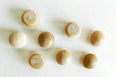 Buy Birch Screw Hole Button Wood Plugs with Tapered Sides | Bear Woods Supply