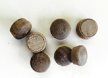 Buy Walnut Round head Wood Plugs with Tapered Sides | Bear Woods Supply