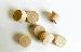 Flat head Maple Wood Plugs | Bear Woods Supply