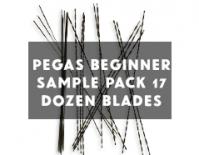 Pegas Beginner sample pack
